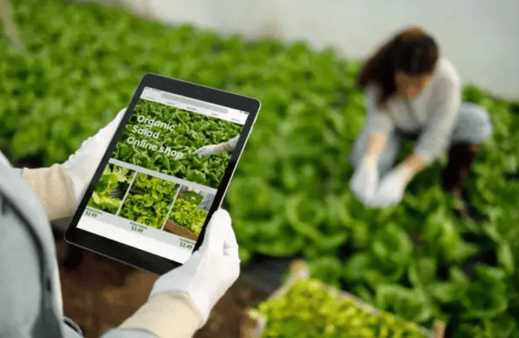 contoh koperasi digital modern menggunakan aplikasi online