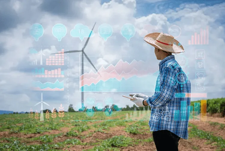 koperasi tradisional vs koperasi digital